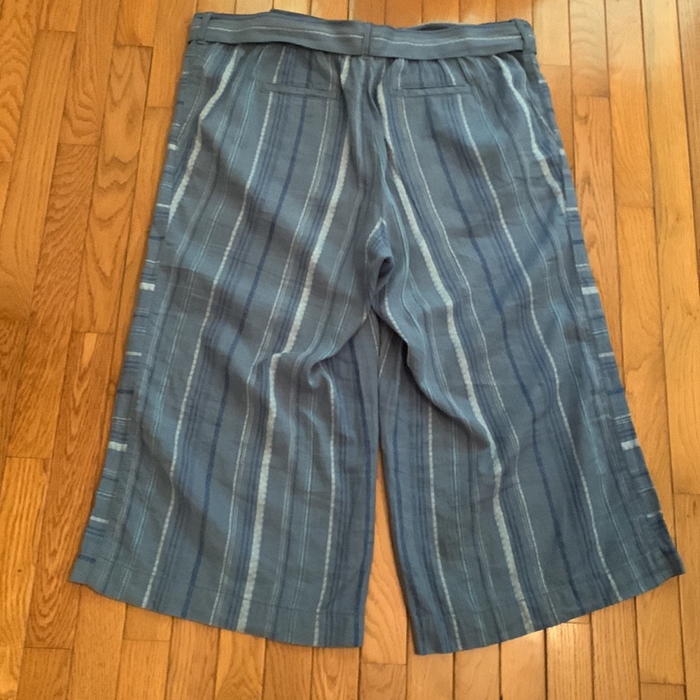 Anthropologie Blue Striped Cropped Pants - Picture 12 of 15